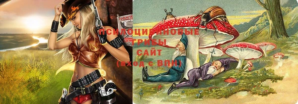 шишки Балахна
