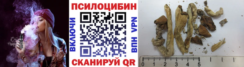 Галлюциногенные грибы MAGIC MUSHROOMS  Липки 